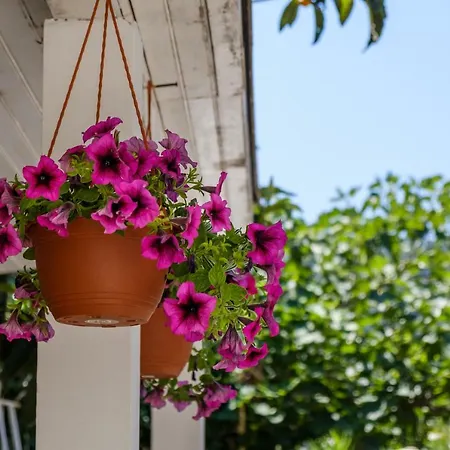 Cuore Di Milka Apartmán Veli Lošinj