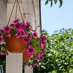 Cuore Di Milka Apartament Veli Lošinj